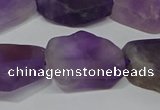 CNG5118 15.5 inches 14*20mm - 18*25mm freeform matte amethyst beads
