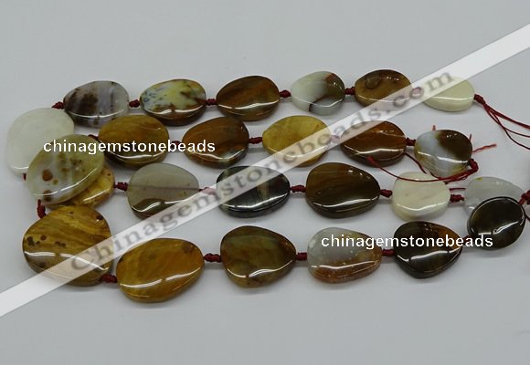 CNG5158 15.5 inches 16*22mm - 30*35mm freeform Mexican agate beads