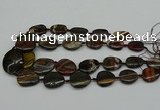 CNG5169 15.5 inches 16*22mm - 30*35mm freeform tiger iron beads