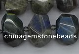 CNG5222 15.5 inches 12*16mm - 15*20mm faceted nuggets labradorite beads