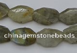 CNG5253 15.5 inches 13*18mm - 15*20mm faceted freeform labradorite beads