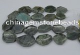 CNG5254 15.5 inches 22*30mm - 35*45mm faceted freeform labradorite beads
