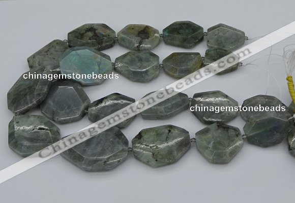 CNG5254 15.5 inches 22*30mm - 35*45mm faceted freeform labradorite beads