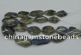 CNG5255 15.5 inches 22*30mm - 35*45mm faceted freeform labradorite beads