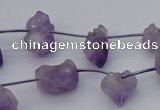 CNG5260 15.5 inches 5*8mm - 15*20mm nuggets amethyst beads