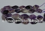 CNG5264 20*30mm - 22*35mm faceted freeform dogtooth amethyst beads