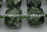 CNG5278 15.5 inches 13*18mm - 15*25mm faceted nuggets seraphinite beads