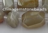 CNG5303 15.5 inches 12*16mm - 18*25mm faceted nuggets moonstone beads