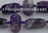 CNG5306 15.5 inches 12*16mm - 15*20mm faceted nuggets amethyst beads