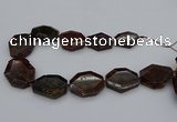 CNG5313 15.5 inches 20*30mm - 35*45mm freeform orange garnet beads