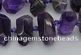 CNG5365 15.5 inches 12*16mm - 15*25mm faceted nuggets amethyst beads