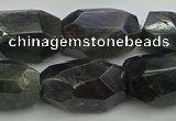 CNG5389 15.5 inches 12*16mm - 15*25mm faceted nuggets labradorite beads