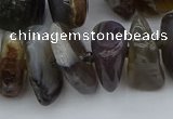 CNG5431 12*16mm - 20*28mm nuggets botswana agate gemstone beads