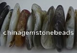 CNG5432 5*20mm - 8*25mm nuggets botswana agate gemstone beads