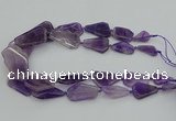 CNG5435 15*25mm - 30*45mm freeform amethyst gemstone beads