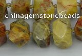 CNG5436 12*16mm - 15*20mm faceted nuggets crazy lace agate beads