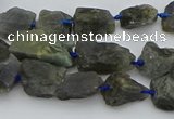 CNG5528 15.5 inches 10*14mm - 15*20mm nuggets labradorite beads