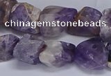 CNG5532 15.5 inches 10*14mm - 12*16mm nuggets dogtooth amethyst beads