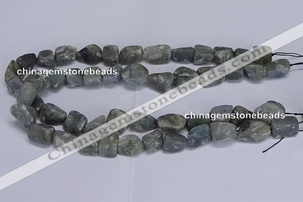 CNG5539 15.5 inches 10*14mm - 12*16mm nuggets labradorite beads