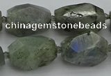 CNG5586 12*16mm - 15*25mm faceted nuggets labradorite beads