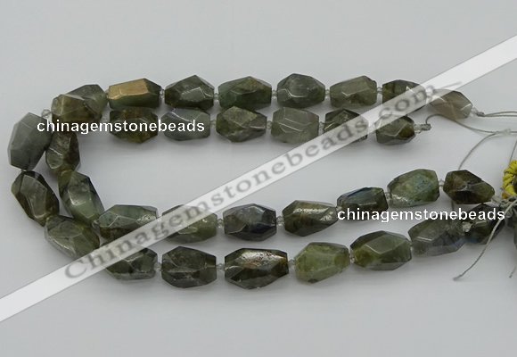 CNG5587 12*16mm - 15*25mm faceted nuggets labradorite beads