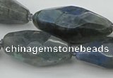 CNG5643 15.5 inches 15*35mm - 18*40mm faceted rice labradorite beads