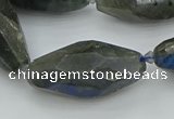 CNG5645 15.5 inches 15*35mm - 18*40mm faceted rice labradorite beads