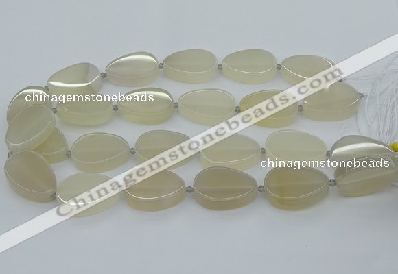 CNG5660 15.5 inches 22*30mm freeform agate gemstone beads