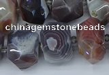 CNG5680 12*16mm - 15*20mm faceted nuggets botswana agate beads