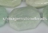 CNG5691 15.5 inches 20*30mm - 35*45mm faceted freeform amazonite beads