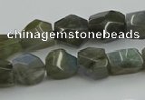 CNG5753 15.5 inches 10*12mm - 12*16mm faceted nuggets labradorite beads