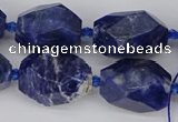 CNG5764 15.5 inches 12*16mm - 15*25mm faceted nuggets sodalite beads