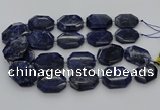 CNG5765 15.5 inches 20*30mm - 35*45mm faceted freeform sodalite beads