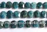 CNG5789 15.5 inches 13*18mm - 15*20mm faceted freeform apatite beads