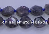 CNG5790 10*12mm - 10*14mm faceted freeform labradorite beads