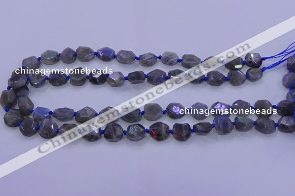 CNG5790 10*12mm - 10*14mm faceted freeform labradorite beads