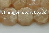 CNG5872 15.5 inches 8*12mm - 12*16mm faceted freeform moonstone beads