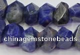 CNG5928 15.5 inches 10*14mm - 13*18mm faceted nuggets sodalite beads
