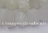 CNG5931 10*14mm - 13*18mm faceted nuggets white moonstone beads