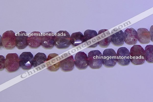 CNG6306 15.5 inches 13*18mm - 15*20mm faceted freeform tourmaline beads