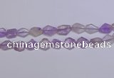 CNG6326 15.5 inches 14*18mm - 16*22mm freeform amethyst beads