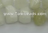 CNG6925 12*16mm - 15*20mm faceted nuggets white moonstone beads