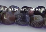 CNG6939 12*16mm - 13*18mm faceted nuggets Botswana agate beads