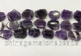 CNG6945 15.5 inches 20*20mm - 25*25mm freeform amethyst beads