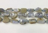 CNG6948 15.5 inches 18*20mm - 22*30mm freeform blue chalcedony beads