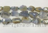 CNG6949 15.5 inches 22*30mm - 30*40mm freeform blue chalcedony beads