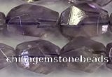 CNG6959 10*14mm - 13*18mm faceted nuggets amethyst beads