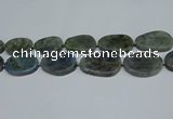 CNG7052 15.5 inches 25*35mm - 30*45mm freeform labradorite beads