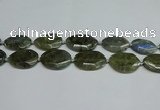 CNG7098 25*35mm - 35*45mm faceted freeform labradorite beads