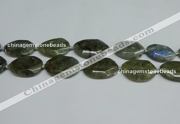 CNG7098 25*35mm - 35*45mm faceted freeform labradorite beads